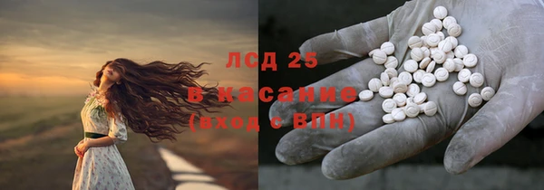 прущие грибы Алзамай