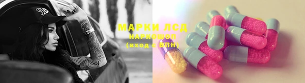прущие грибы Алзамай