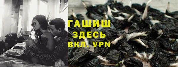 прущие грибы Алзамай