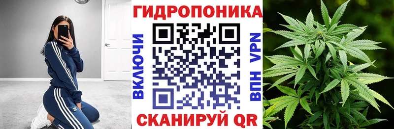 hydra   Болхов  Бошки Шишки ГИДРОПОН 